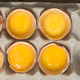 Aerial view of egg carton with each raw egg's top shell removed to show yolk inside